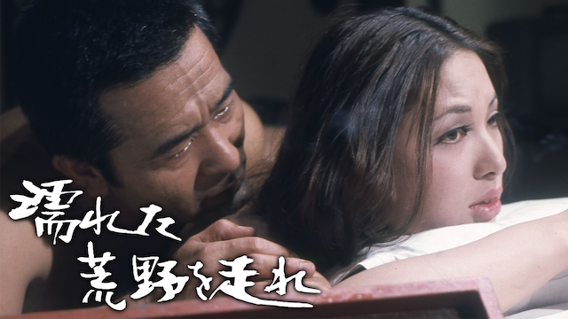 濡れた荒野を走れ 地井武男 山科ゆり 【動画無料視聴可】